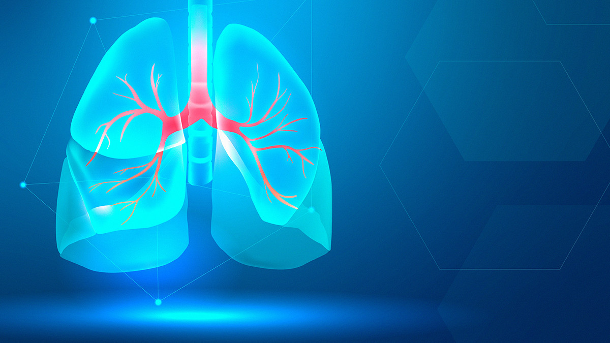 รูปภาพในบทความ 10 กลุ่มอาหารที่ช่วยให้ปอดมีสุขภาพดี แข็งแรง