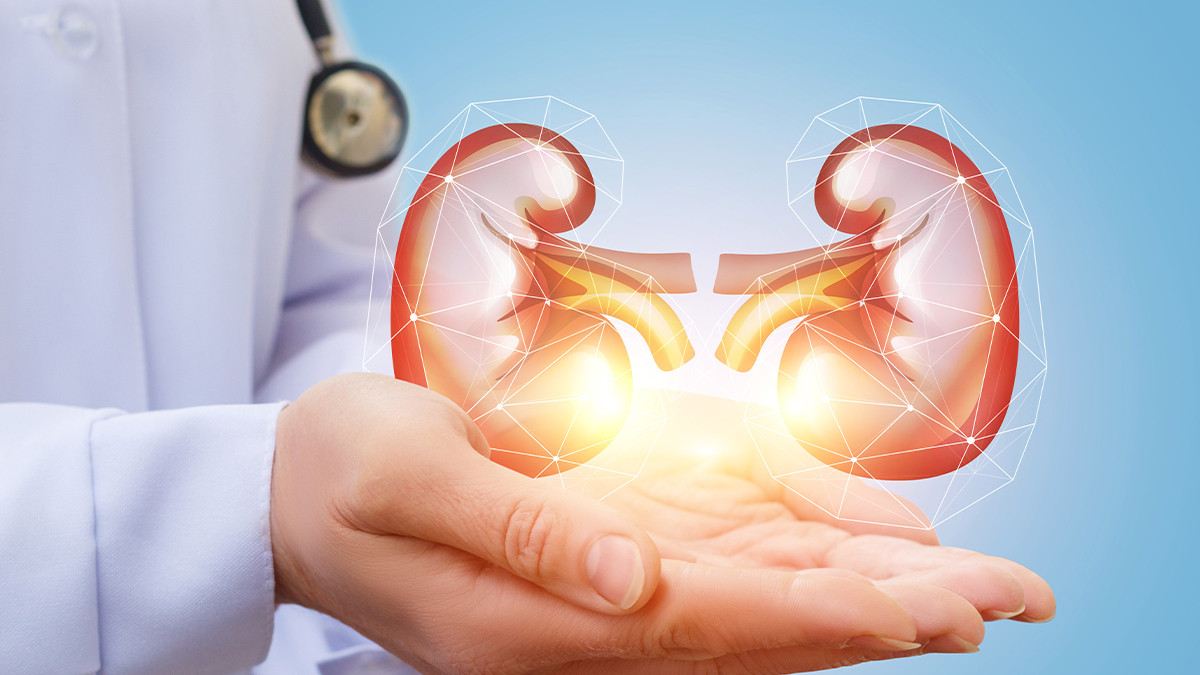 รูปภาพในบทความ โรคไต