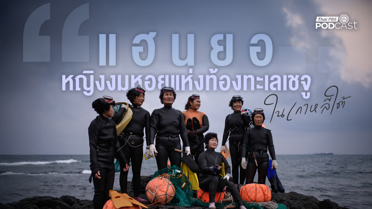 รูปภาพในบทความ “แฮนยอ” หญิงงมหอยแห่งท้องทะเลเชจูในเกาหลีใต้