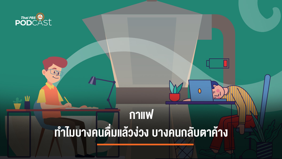 รูปภาพในบทความ กาแฟ...ทำไมบางคนดื่มแล้วง่วง แต่บางคนกลับตาค้าง นอนไม่หลับ