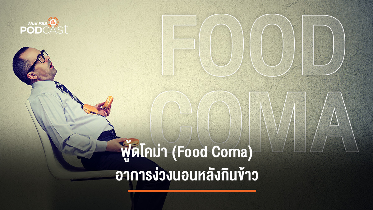 รูปภาพในบทความ ฟู้ดโคม่า (Food Coma) อาการง่วงนอนหลังกินข้าว