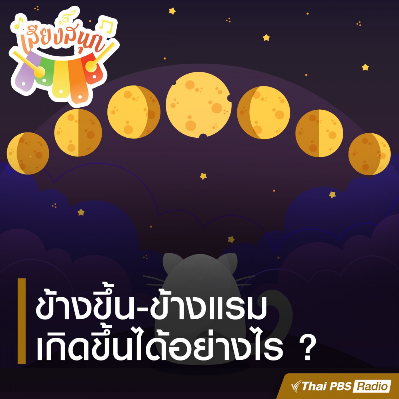 My Image 24