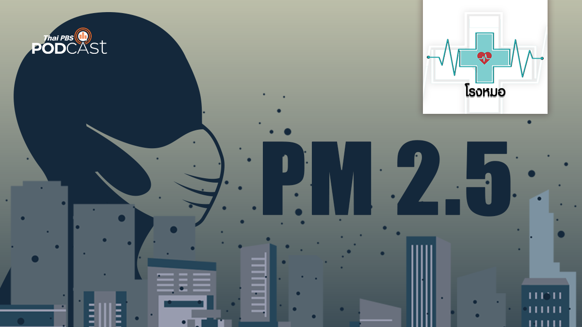 PM 2.5 ภัยเงียบทำลายปอด