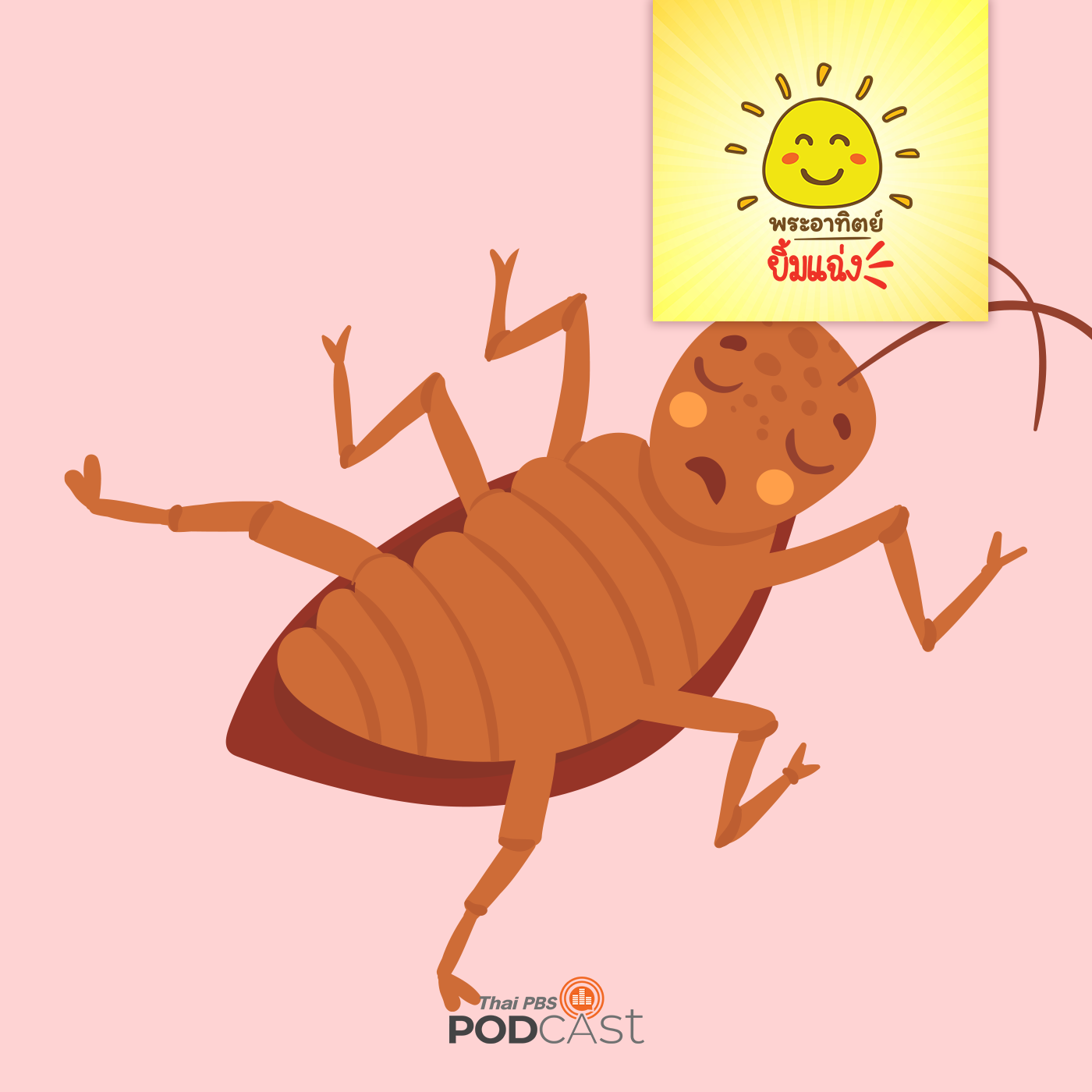 EP. 798: ทำไมแมลงตายต้องนอนหงายทุกตัว