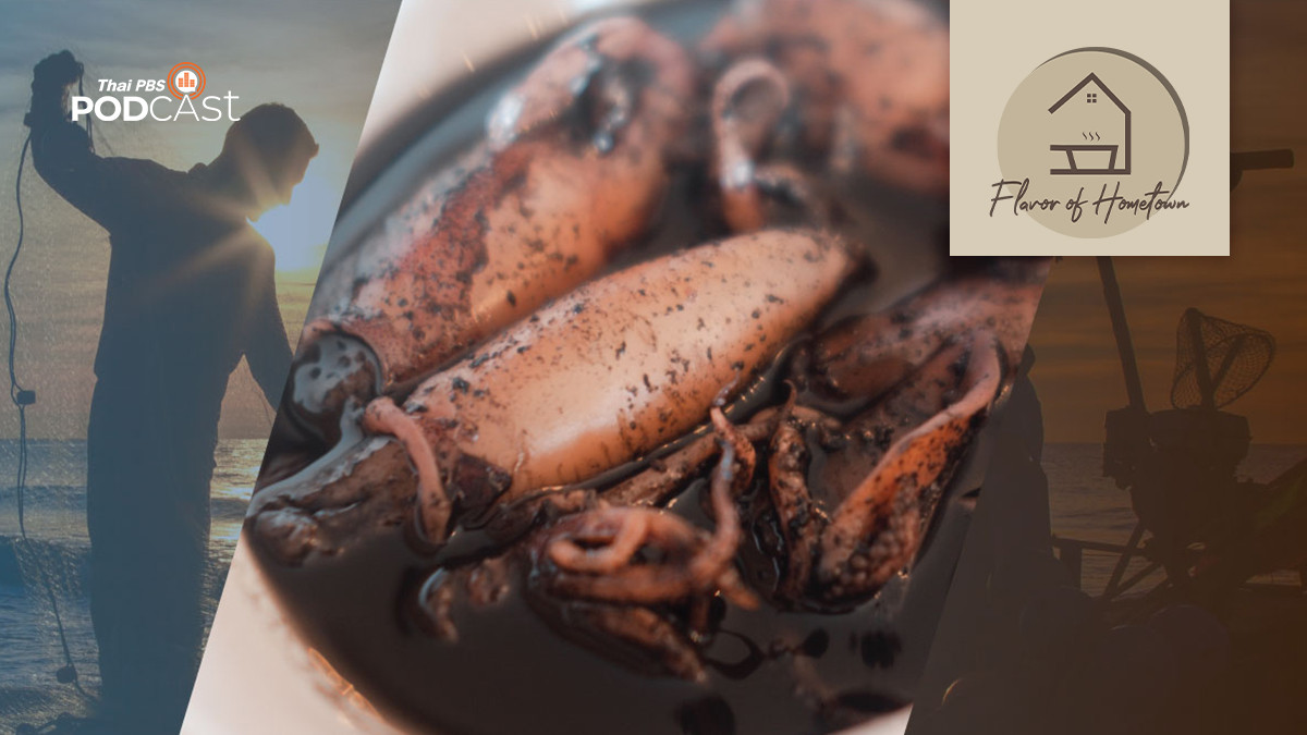 EP. 7: เรื่องเล่าจากหมึกต้มหวาน | Thai PBS Podcast