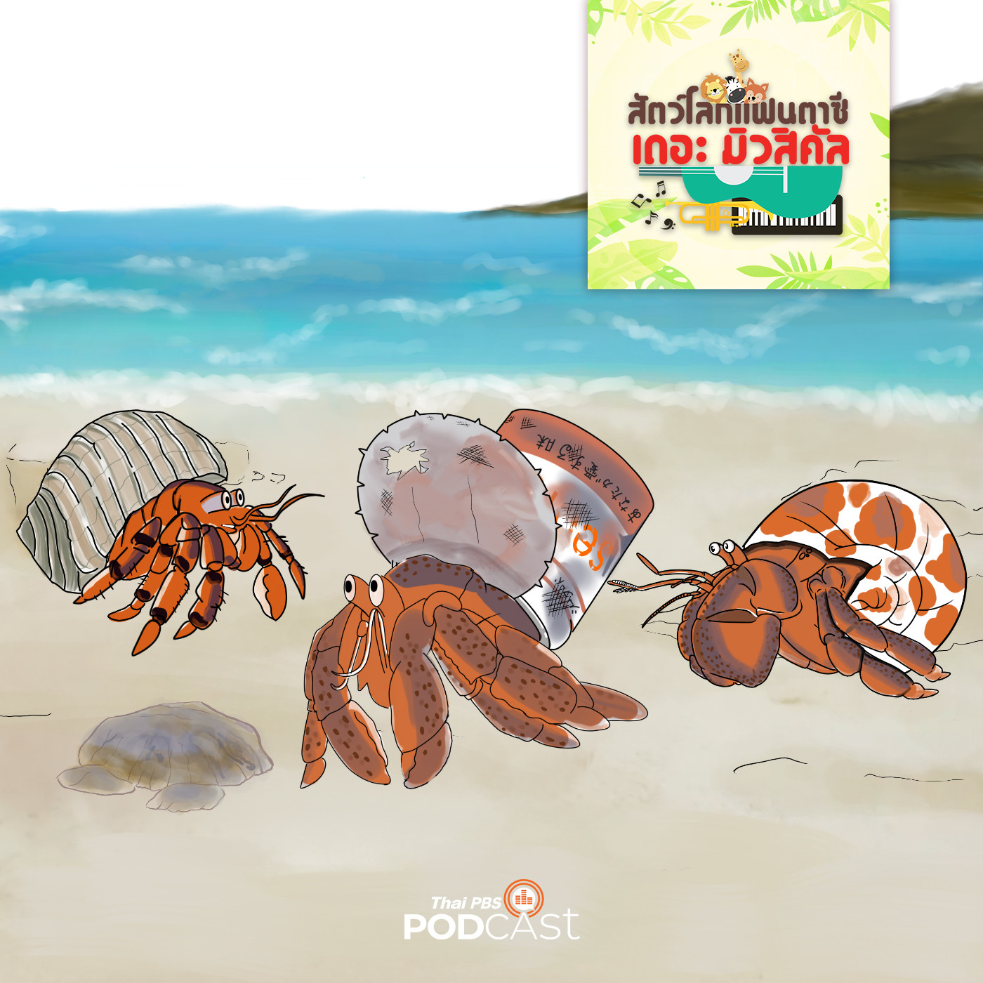 ปูเสฉวนเปลี่ยนบ้าน