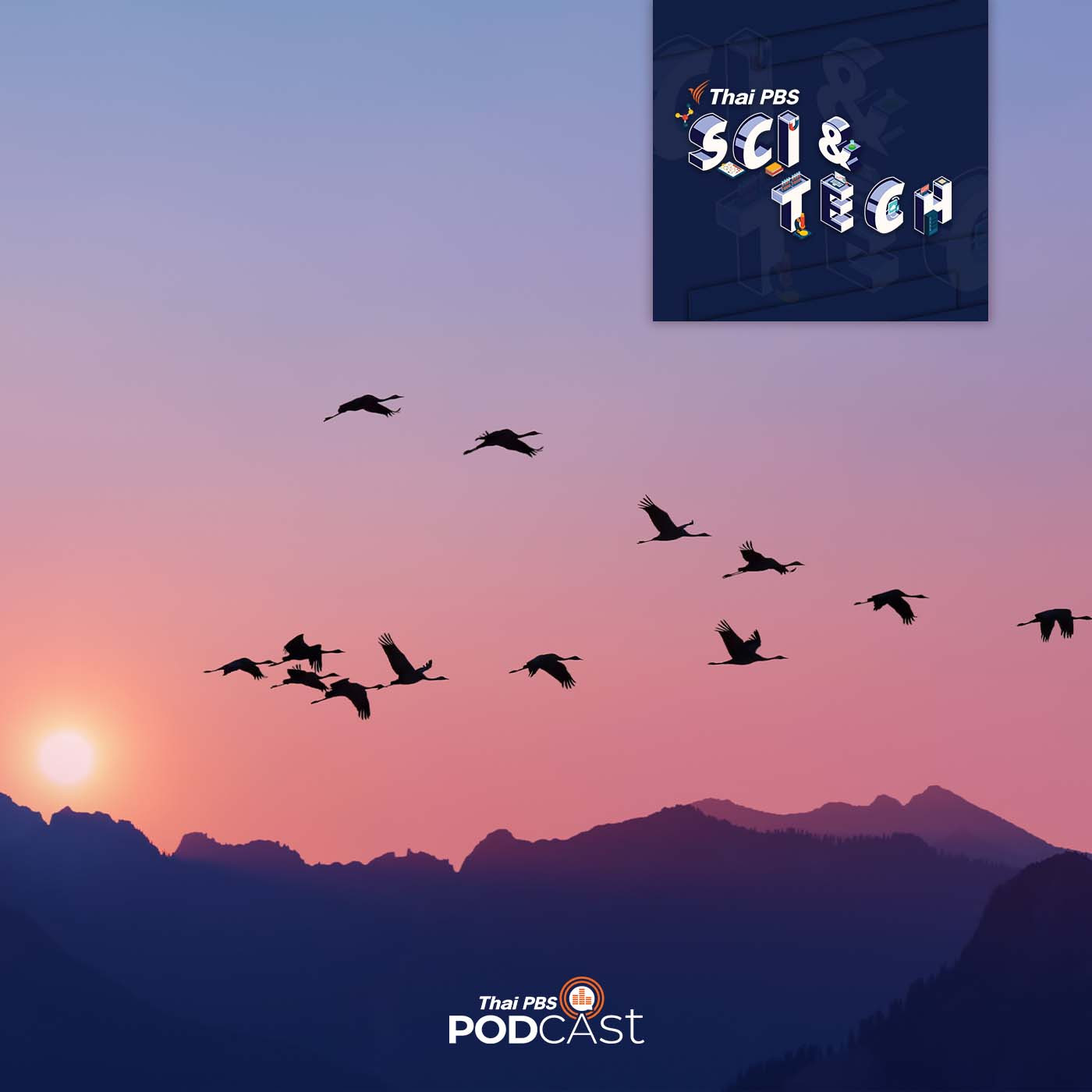 EP. 713: สัมผัสที่หก? การรับรู้สนามแม่เหล็กโลกของสิ่งมีชีวิต