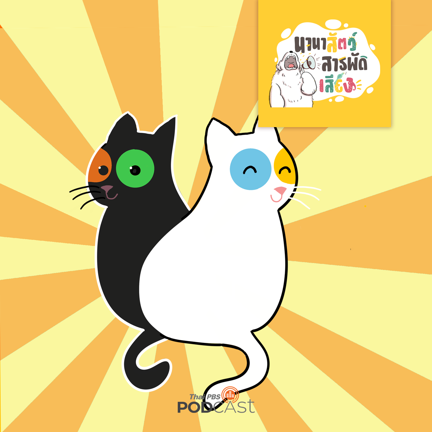 นานาสัตว์สารพัดเสียง EP. 73: ตาแมวทำไมมีหลายสี