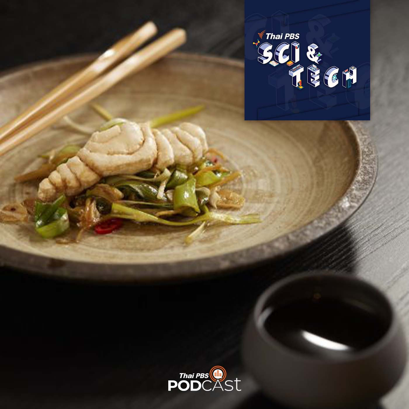 Sci & Tech EP. 740: เนื้อสัตว์เพาะจากห้องแล็บ แหล่งอาหารทางเลือกในอนาคต?