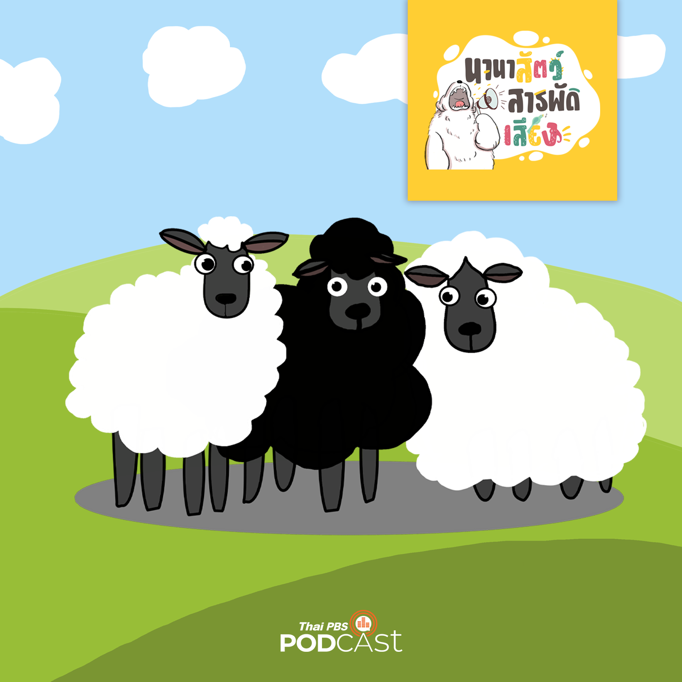 EP. 74: ขนแกะยาวได้แค่ไหนนะ