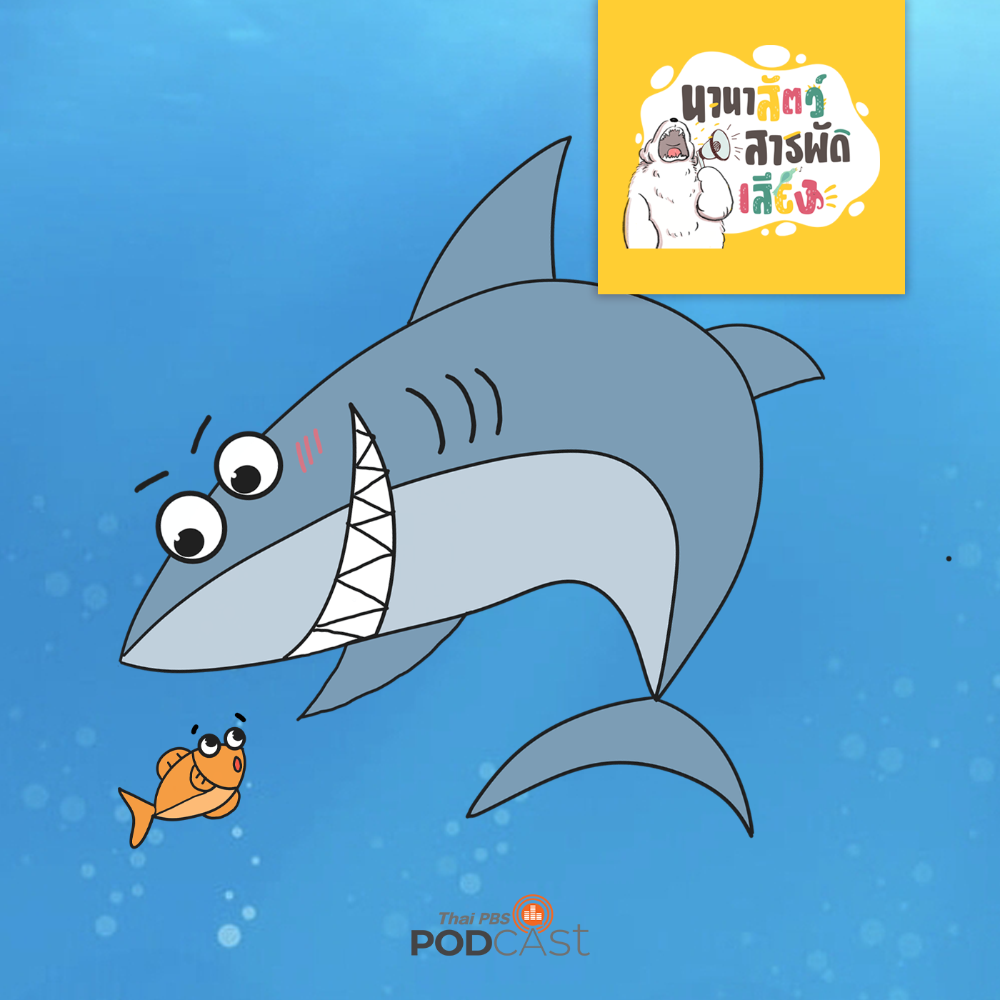 นานาสัตว์สารพัดเสียง EP. 75: ทำอย่างไรเมื่อเจอฉลาม (ไม่) ร้ายในทะเล!