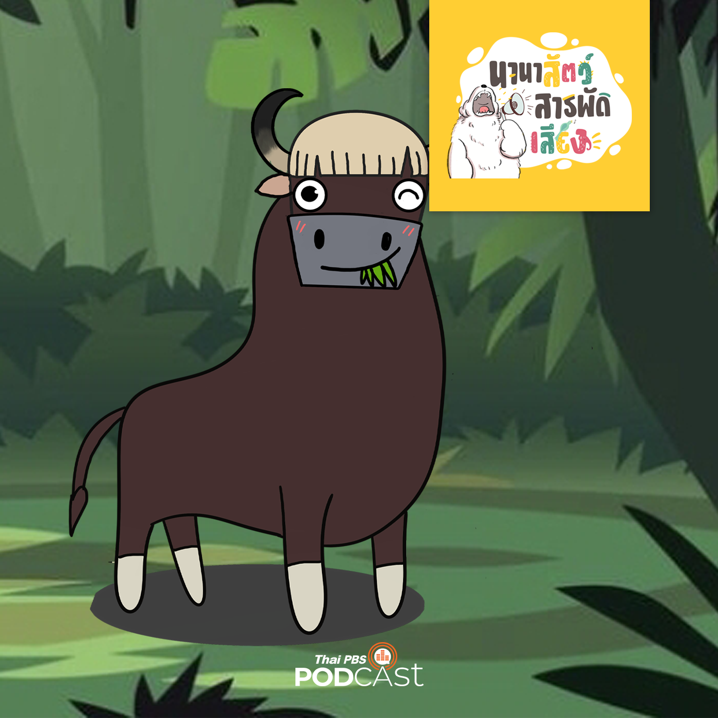 นานาสัตว์สารพัดเสียง EP. 79: กระทิงไทย ไม่พุ่งชนใครในสนามสู้วัว