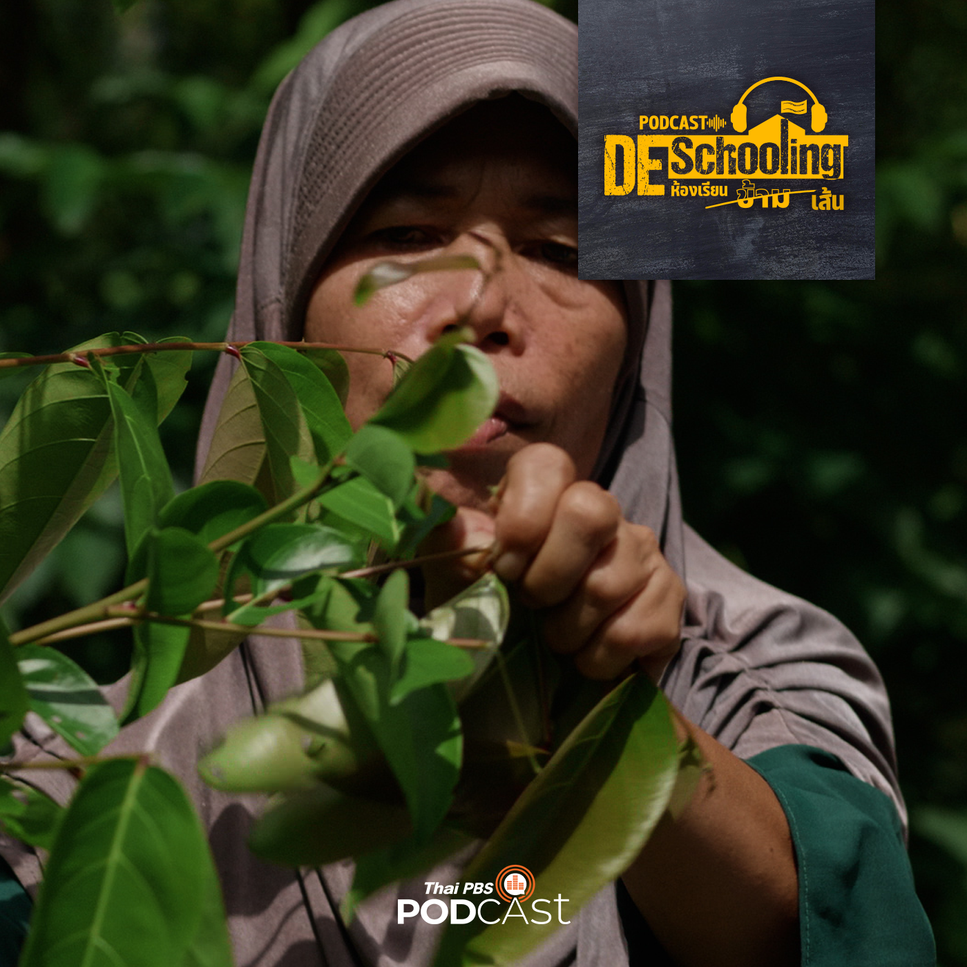 Deschooling Podcast EP. 5: 5 ผักพื้นบ้าน ประโยชน์หลากหลาย หากินได้รอบรั้ว (แบบฉบับภาคใต้)