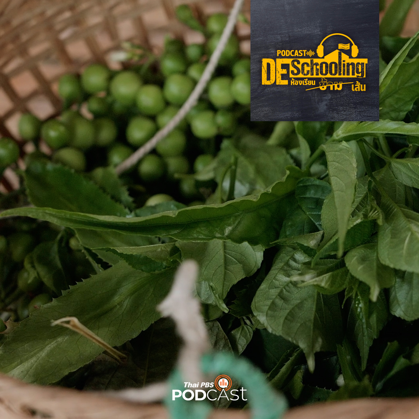 Deschooling Podcast EP. 7: 5 ผักพื้นบ้าน ประโยชน์หลากหลาย หากินได้รอบรั้ว (แบบฉบับภาคกลาง)