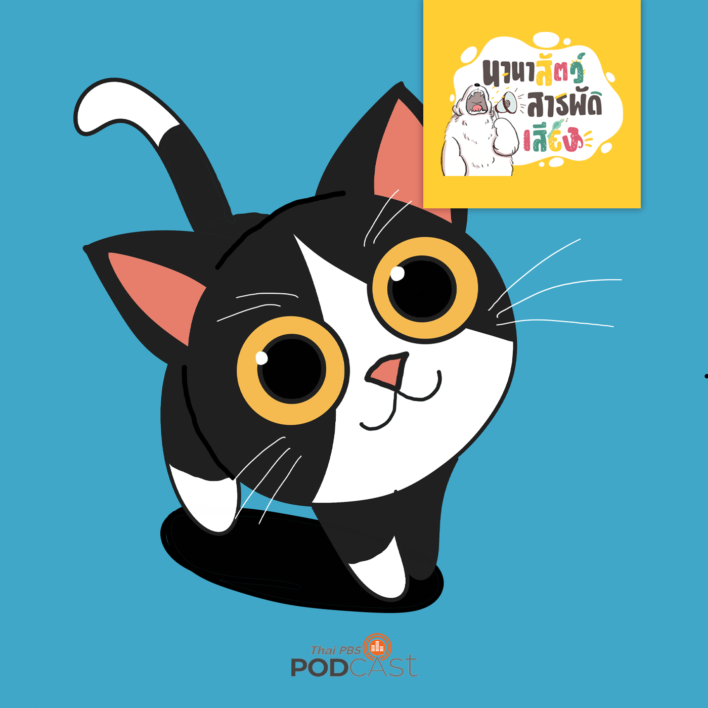 นานาสัตว์สารพัดเสียง EP. 94: แมวฝึกได้ไหม ทำไมถึงเอาแต่ใจตัวเอง?