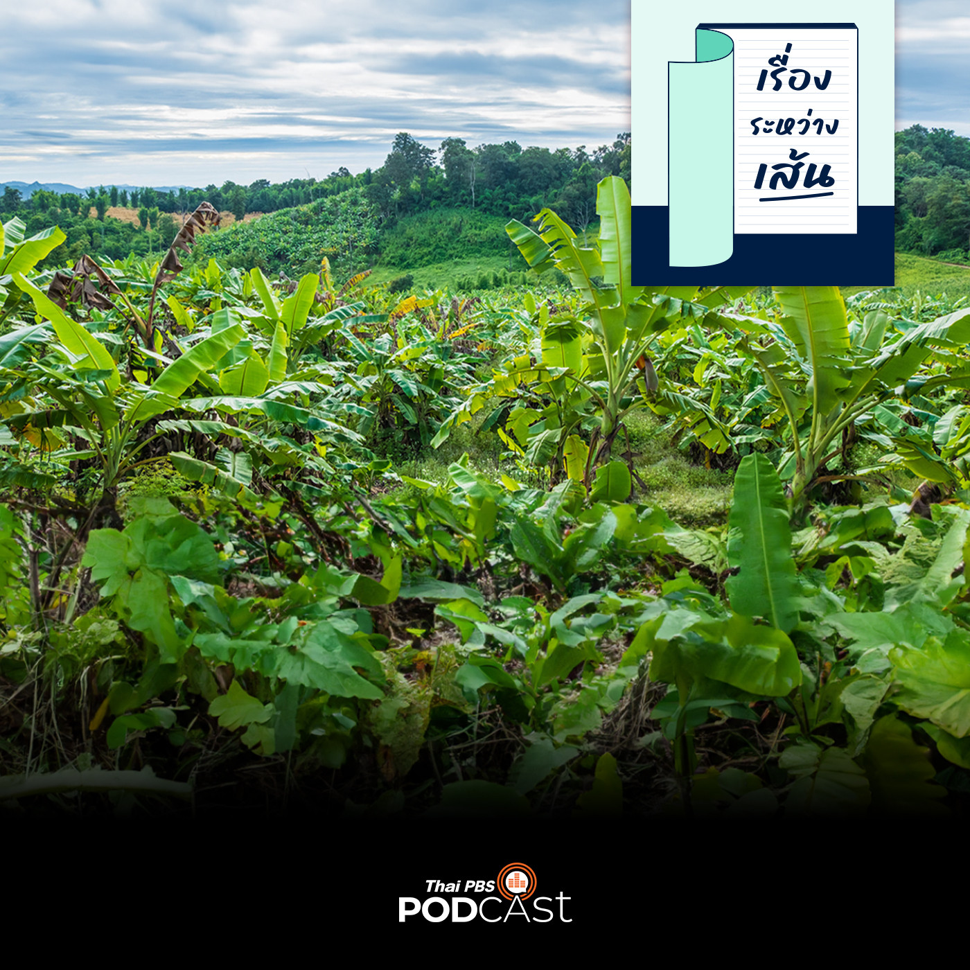 EP. 9: กล้วยหายไปไหน