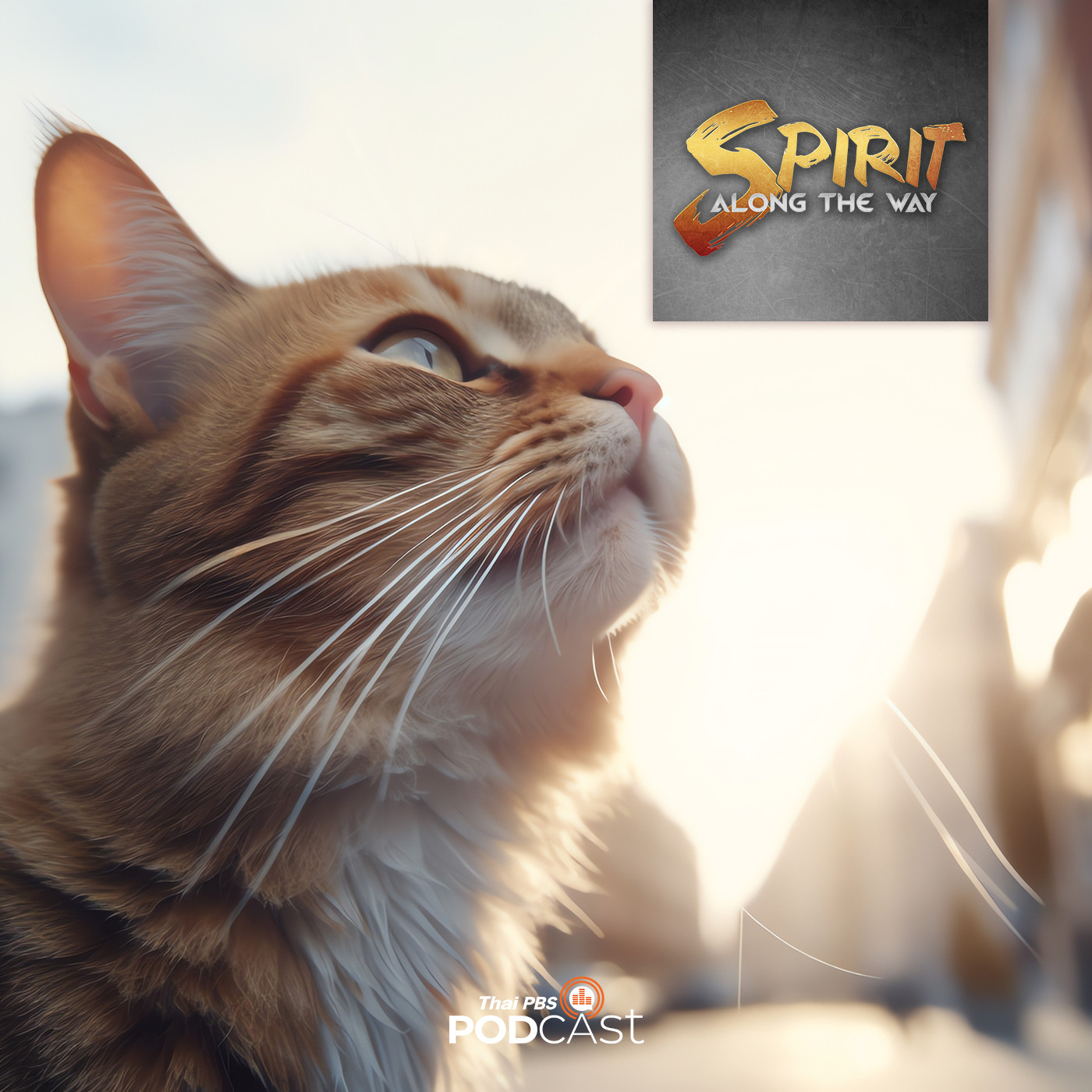 Spirit Along the Way EP. 19: ตุรกี เมืองแห่งแมว จากเรื่องเล่าทางศาสนาสู่การปฏิบัติและดูแล