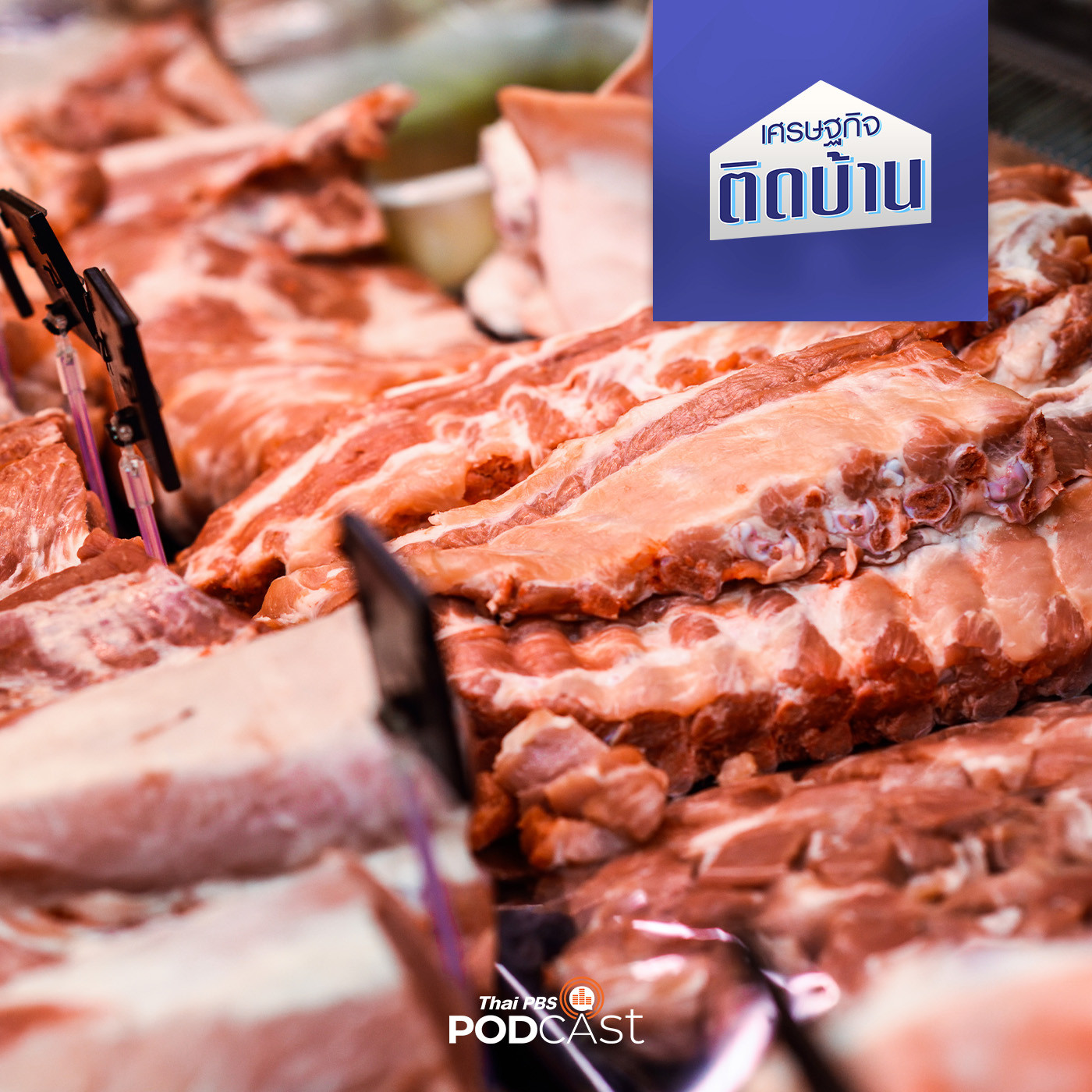 เศรษฐกิจติดบ้าน EP. 354: พิษหมูเถื่อน สะเทือนหมูไทย
