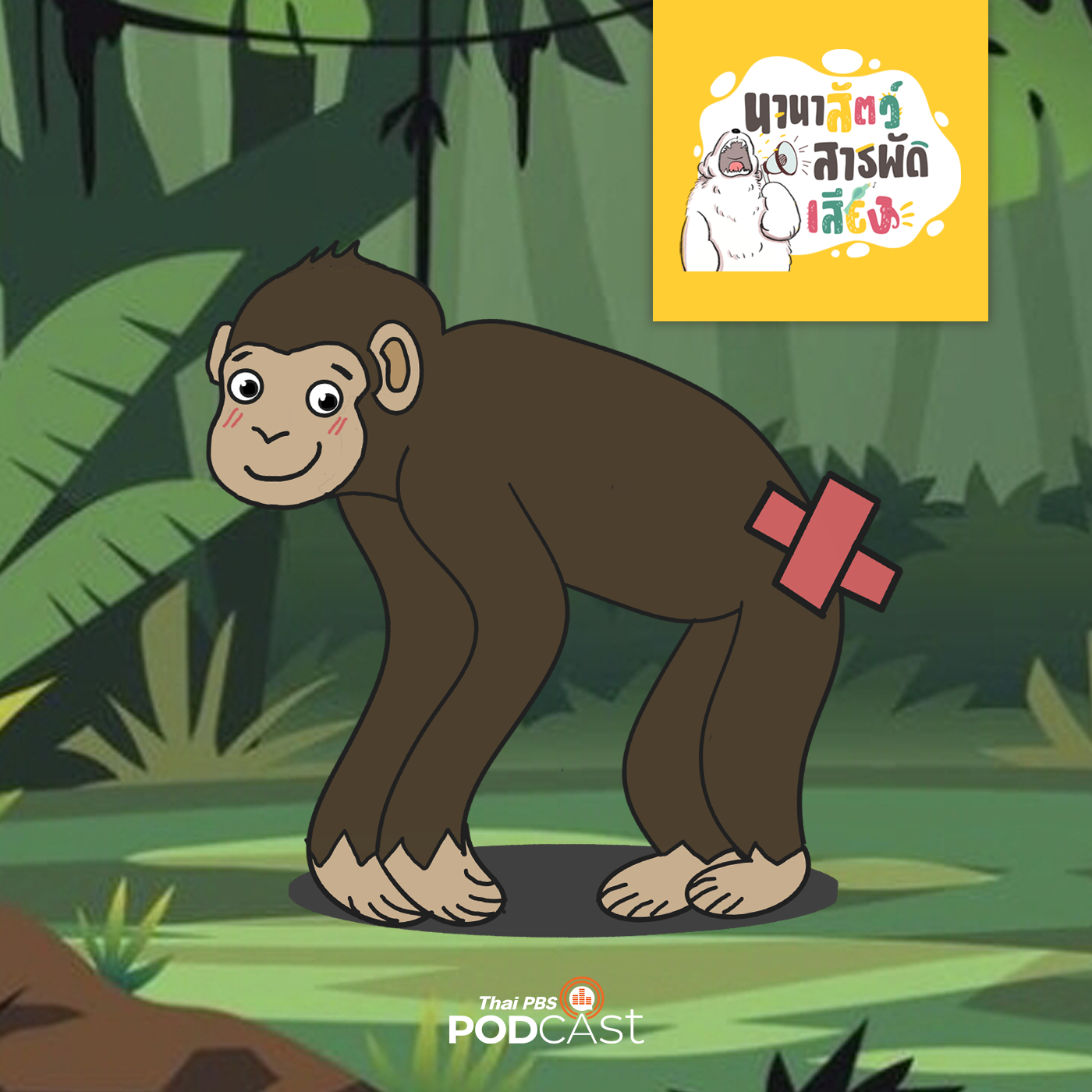 นานาสัตว์สารพัดเสียง EP. 109: ลิงไม่มีหาง ญาติห่าง ๆ ของมนุษย์