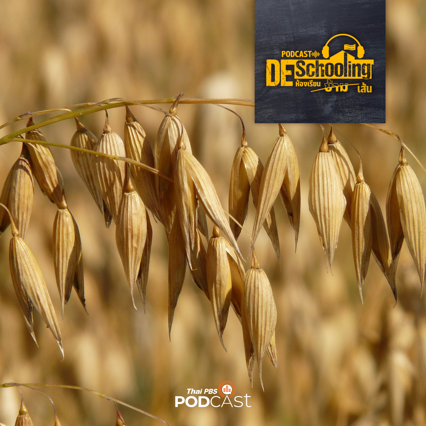 Deschooling Podcast EP. 33: กินข้าวโอ๊ต ประโยชน์รอบด้าน