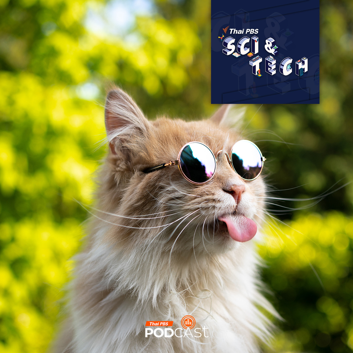 Sci & Tech EP. 800: สัตว์ก็มีอารมณ์ขัน ไม่ต่างจากมนุษย์