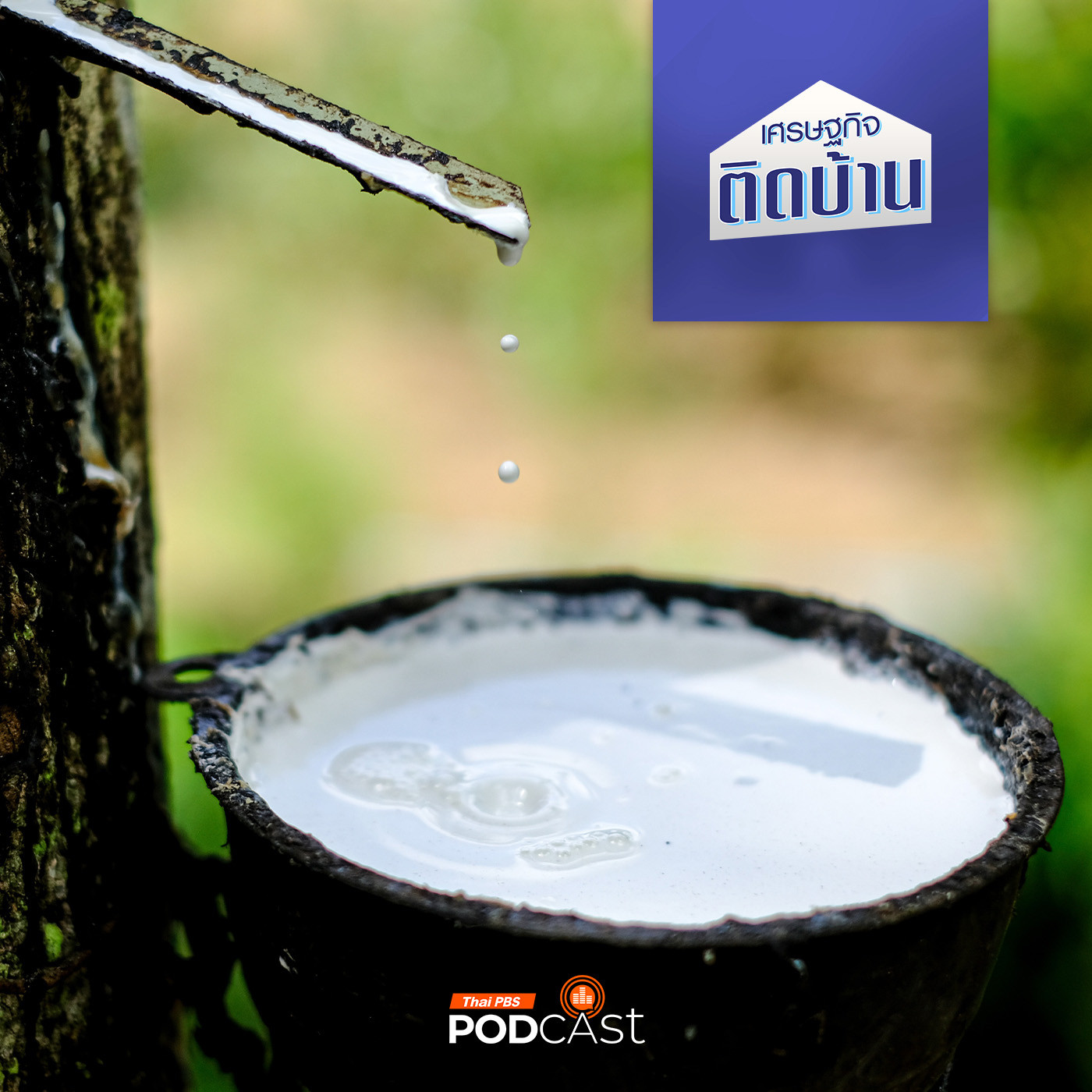 เศรษฐกิจติดบ้าน EP. 467: โอกาสของยางพาราไทยในตลาดโลก