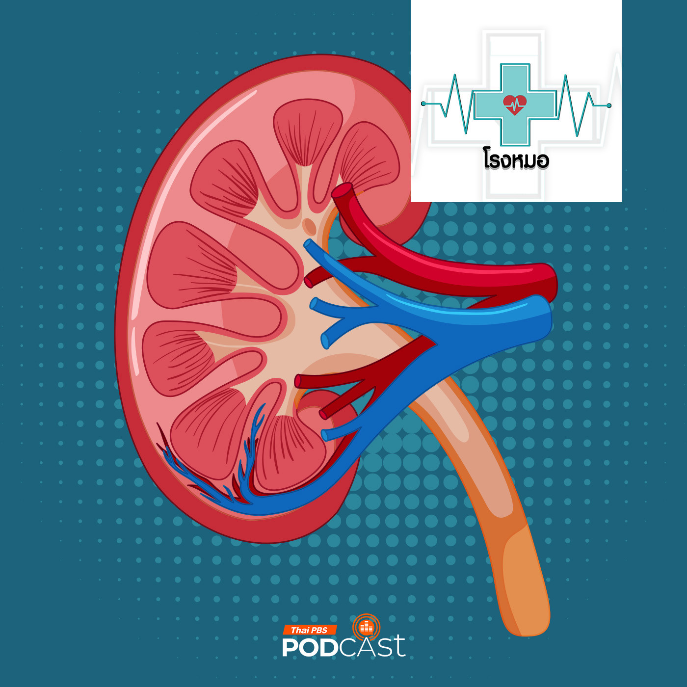 EP. 1013: พฤติกรรมทำร้ายไต แม้ไม่ได้กินเค็ม