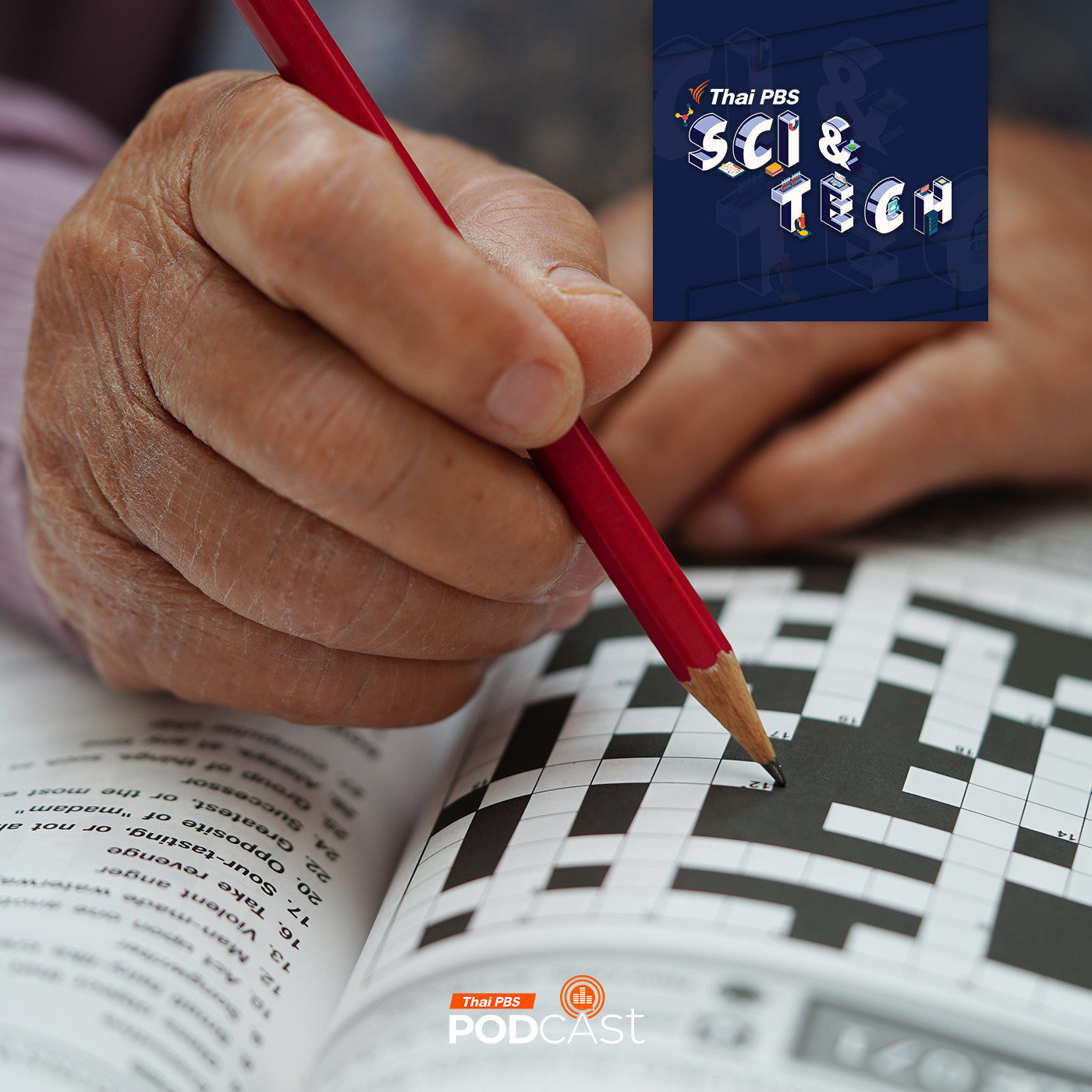 Sci & Tech EP. 818: "เกมลับสมอง" ช่วยได้แค่ไหน?