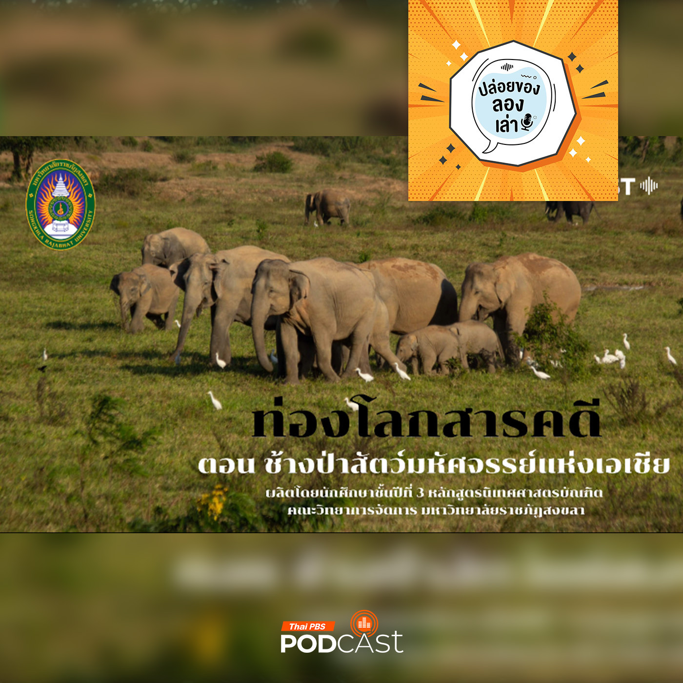EP. 194: ช้างป่าสัตว์มหัศจรรย์แห่งเอเชีย | มหาวิทยาลัยราชภัฏสงขลา