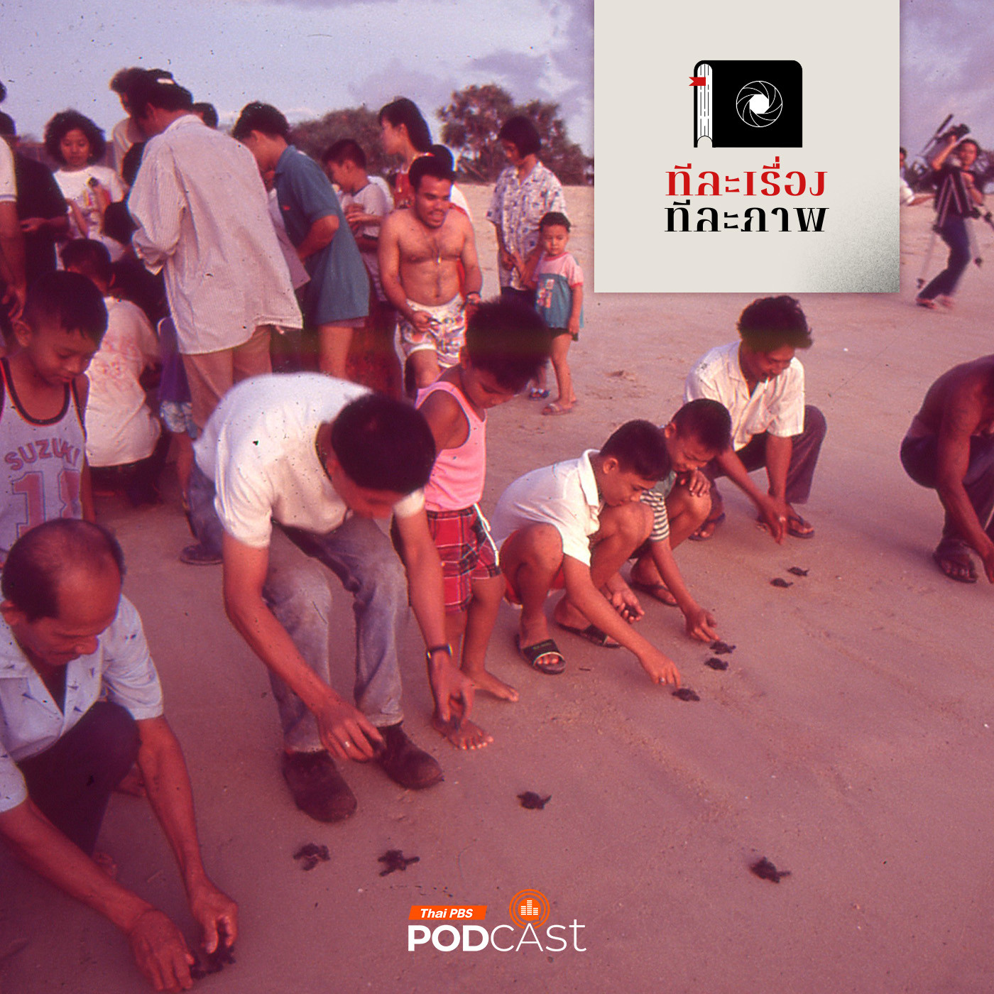 ทีละเรื่อง ทีละภาพ EP. 191: หาดไม้ขาว เต่ามะเฟือง และเฒ่าทะเลใจอารี