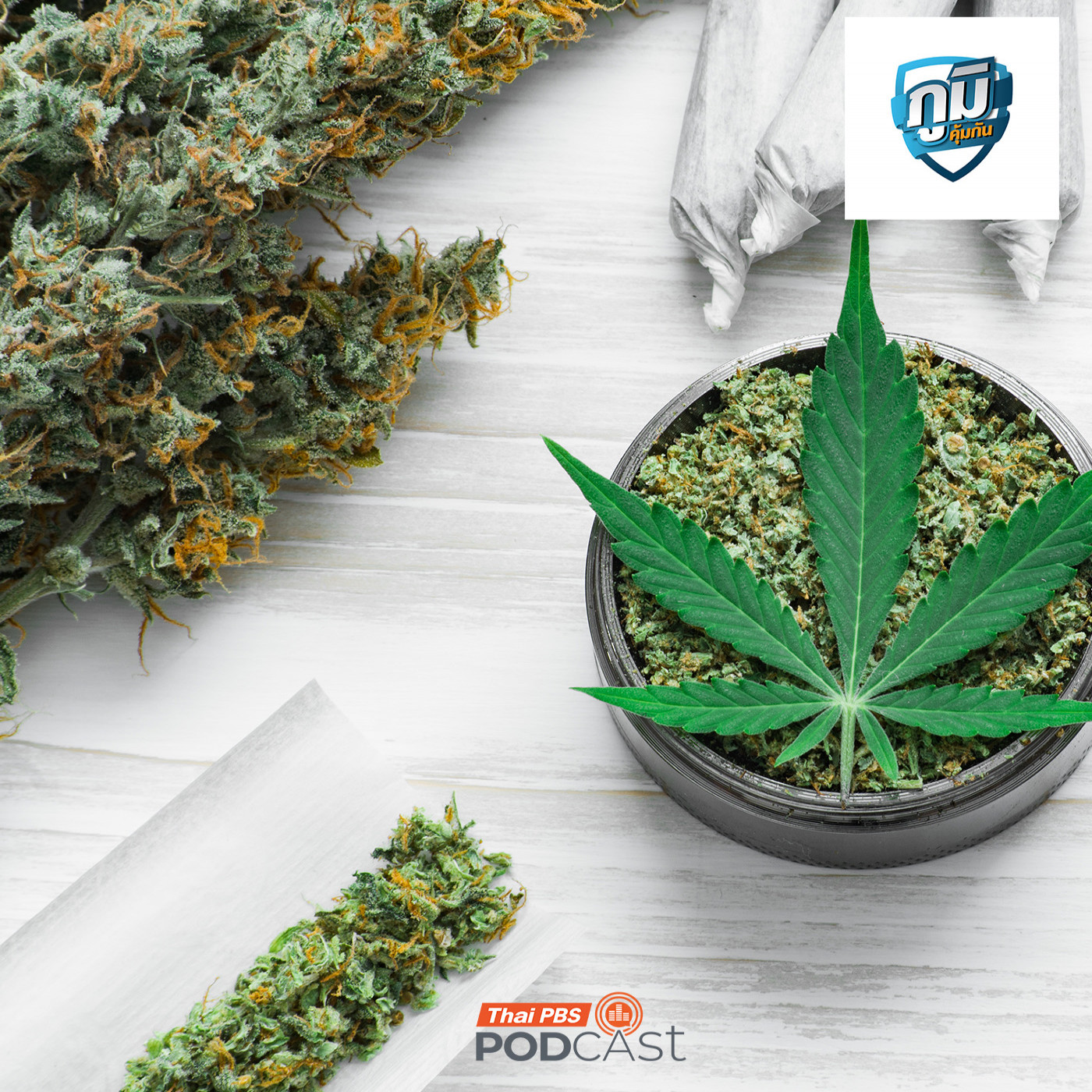 ภูมิคุ้มกัน : ปิดฉากนโยบายกัญชาเสรี  / ร้องตรวจสอบทัวร์เถื่อนจ่ายเงินแต่ไม่ได้เที่ยว / กินเนื้อดิบแล้วตาย ในเนื้อดิบมีเชื้อโรคอะไร