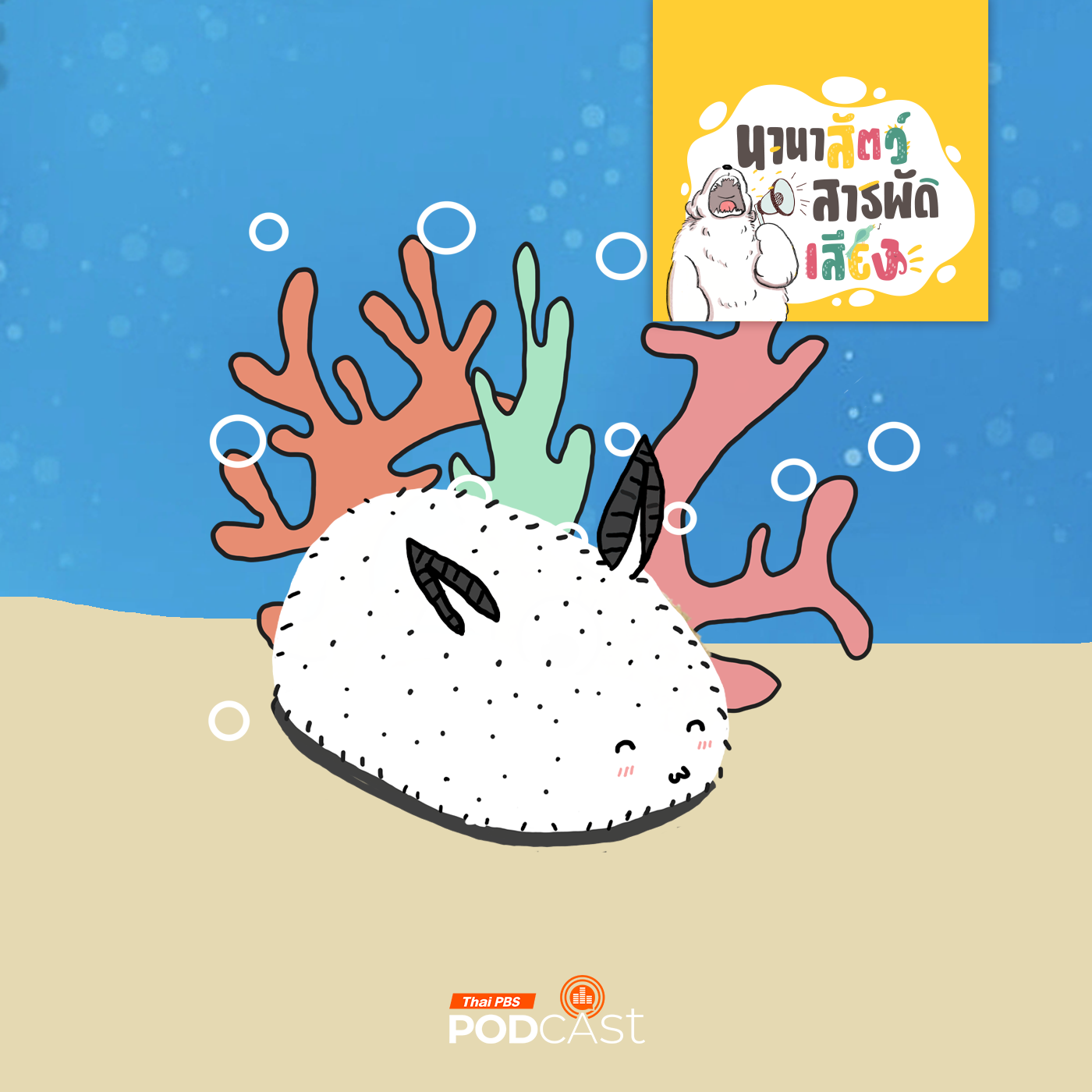 นานาสัตว์สารพัดเสียง EP. 187: กระต่ายทะเล ทากทะเลตัวน้อยในมหาสมุทร