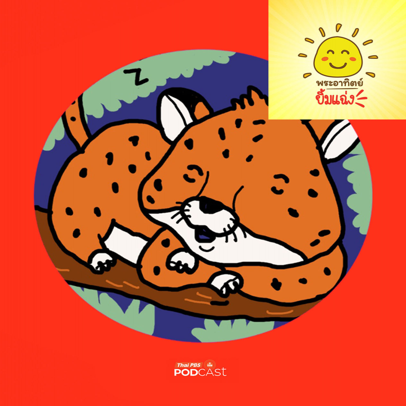 EP. 1935: ทำไมเสือดาวชอบนอนบนต้นไม้