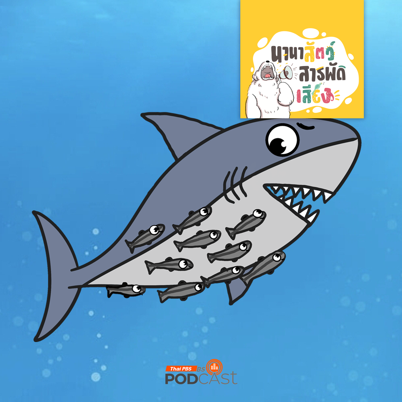 นานาสัตว์สารพัดเสียง EP. 193: เหาฉลาม ปลาที่สบายที่สุดในโลก
