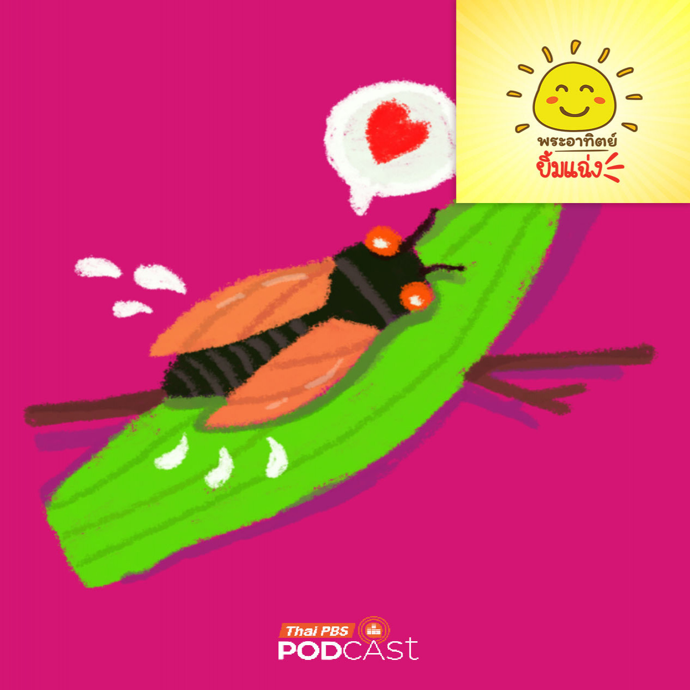 พระอาทิตย์ยิ้มแฉ่ง EP. 1948: ต้นไม้อะไรฉี่ได้