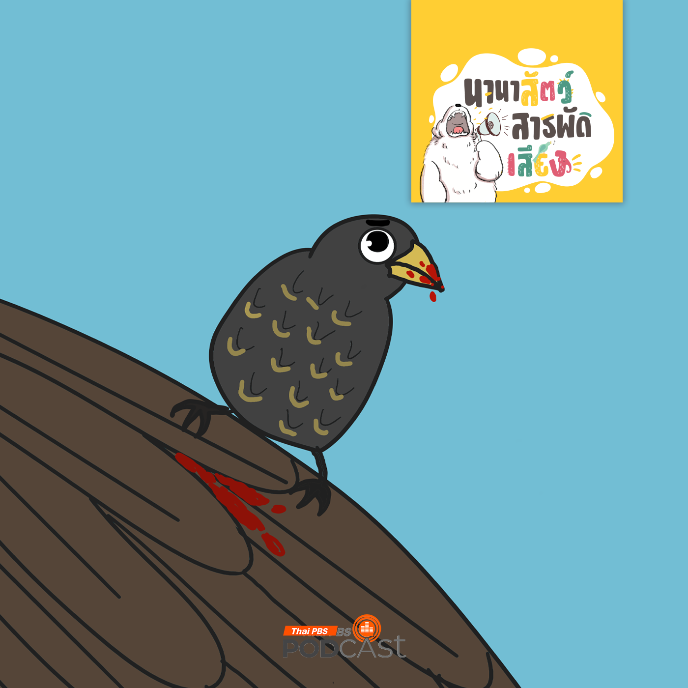 นานาสัตว์สารพัดเสียง EP. 197: นกแวมไพร์ นกกินเลือดบนเกาะกาลาปากอส