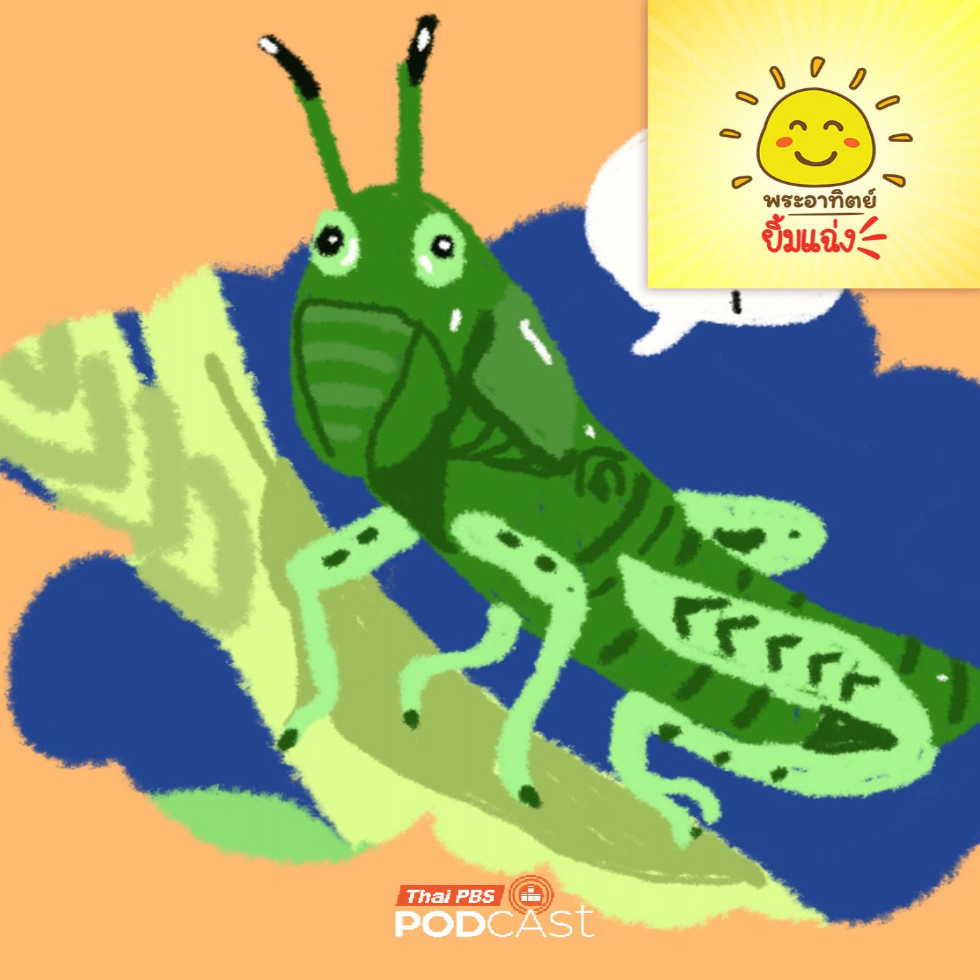 EP. 1963: หูตั๊กแตน อยู่ตรงไหนนะ  