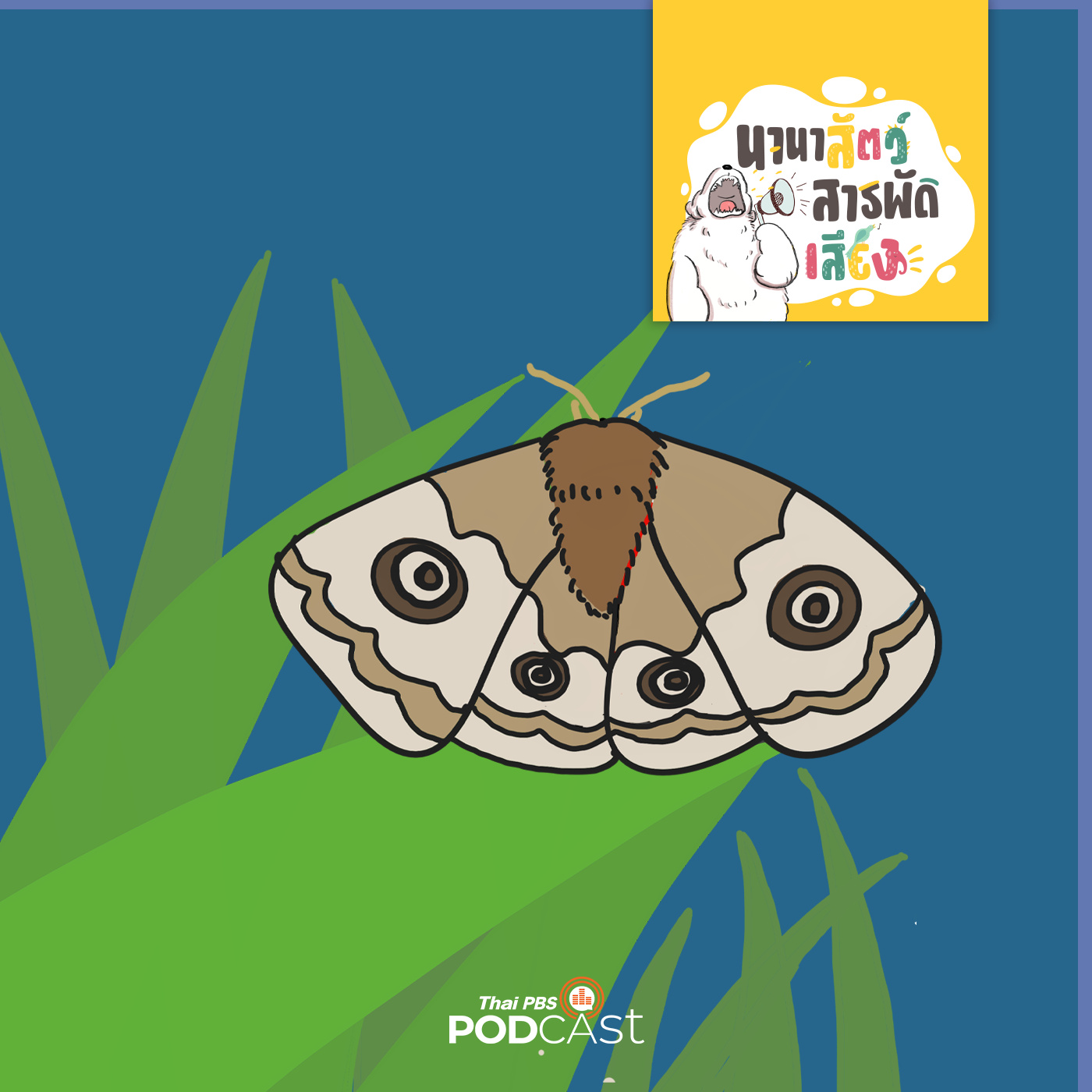 นานาสัตว์สารพัดเสียง EP. 203: ผีเสื้อกลางคืน(moth)ที่สุดของผีเสื้อ