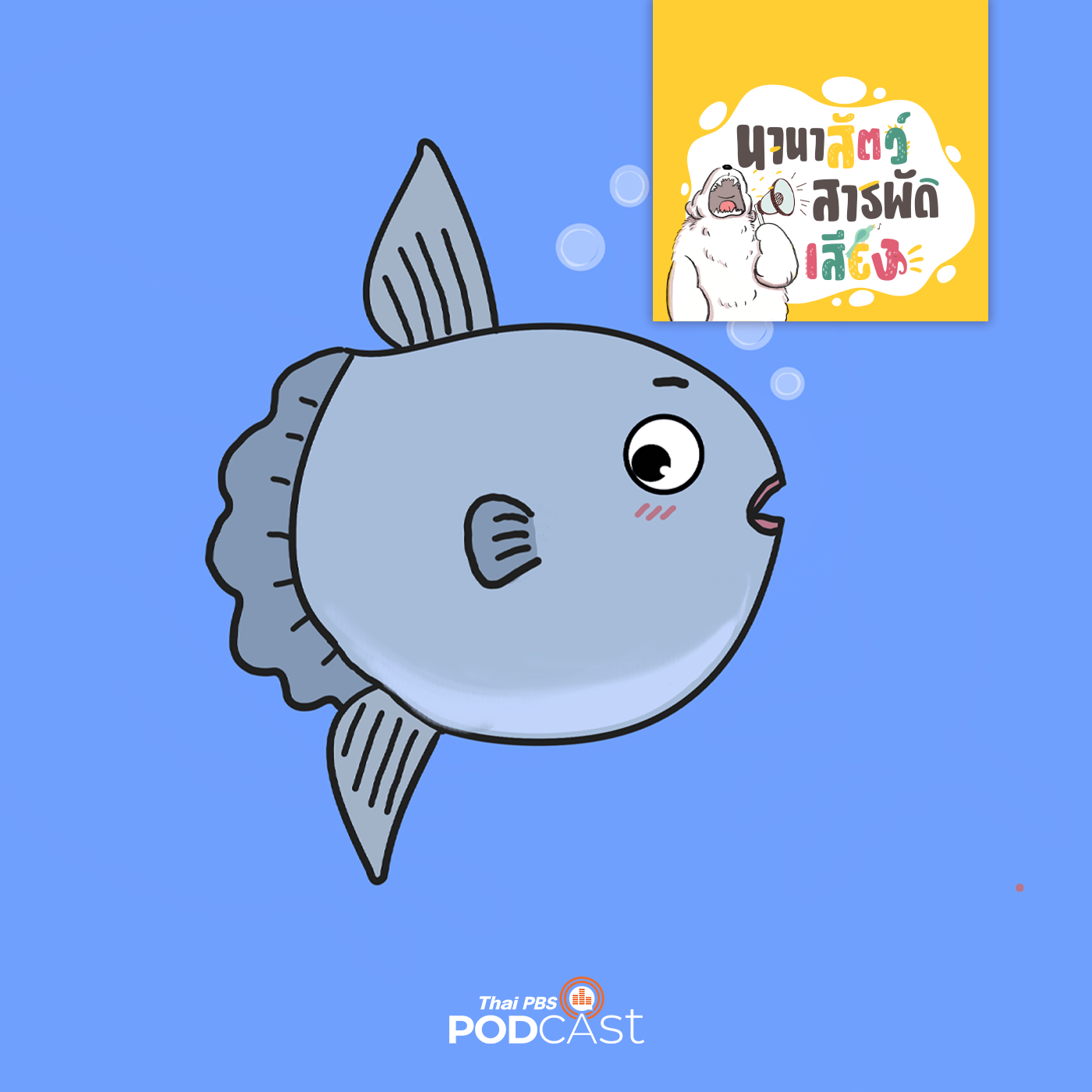 นานาสัตว์สารพัดเสียง EP. 206: ปลาโมลาโมลา ทำไมได้ชื่อว่า SUNFISH