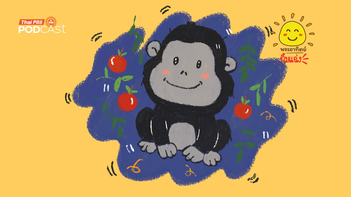 กอริลล่ากินแต่ใบไม้ทำไมตัวล่ำบึ้ก