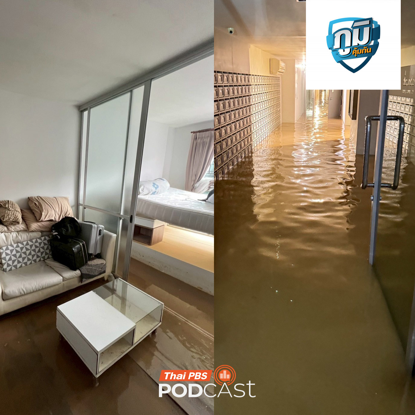  เคลมประกันบ้านถูกน้ำท่วม /  เลือดเทียม