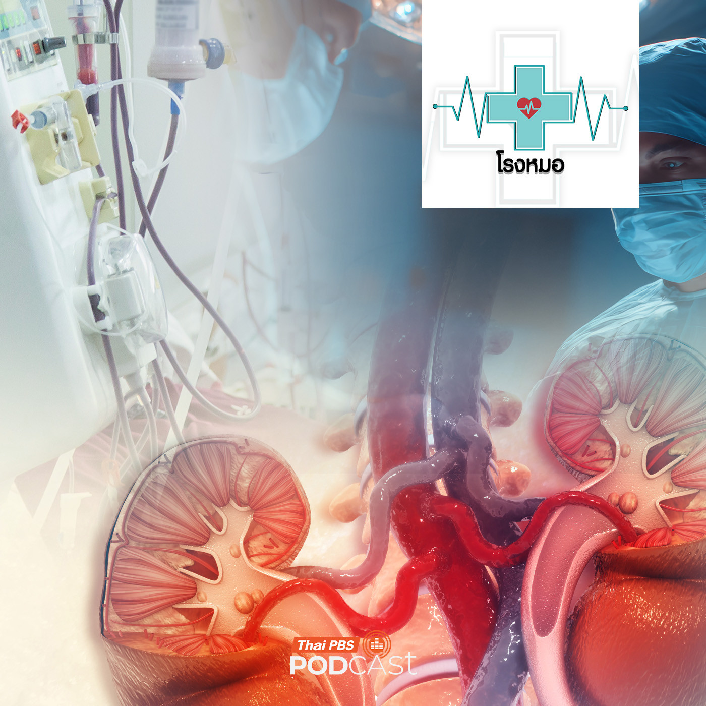 โรงหมอ EP. 1177: เป็นโรคไต ให้จบที่ตรงไหนระหว่าง ฟอกไตหรือปลูกถ่ายไตใหม่