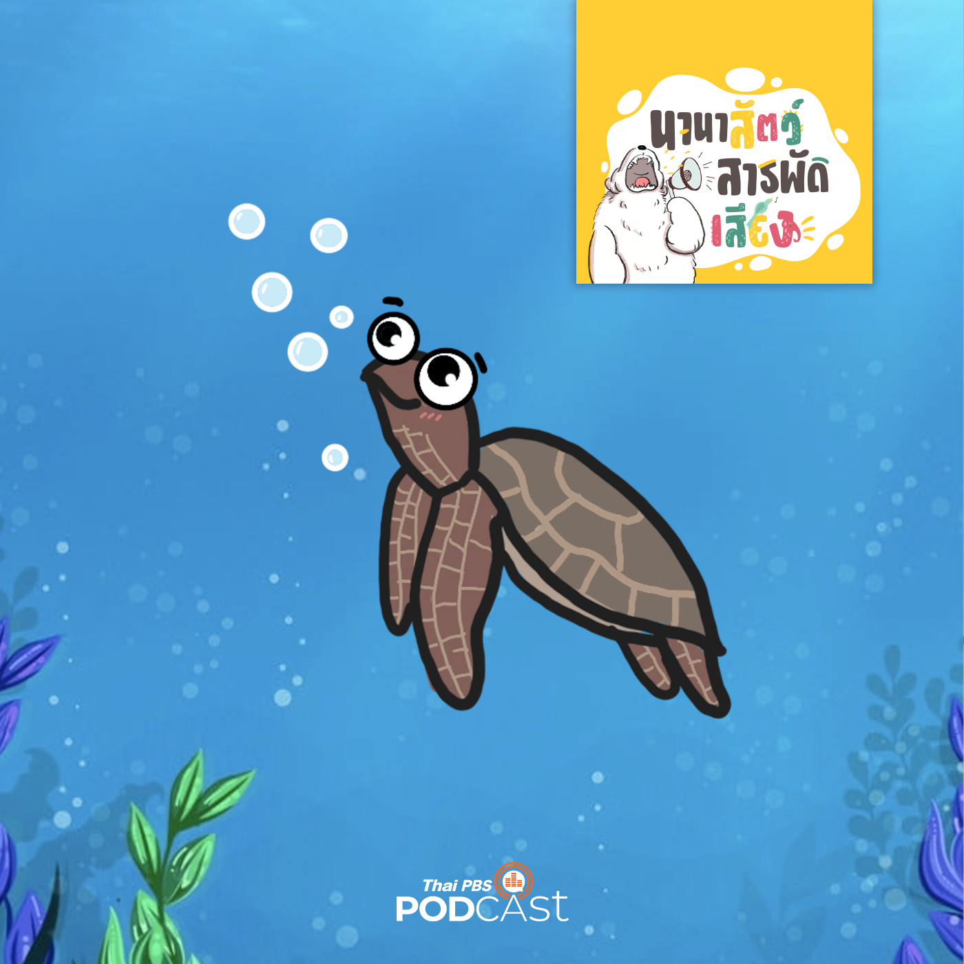 EP. 217: เต่าทะเล นักเดินทางแห่งมหาสมุทร