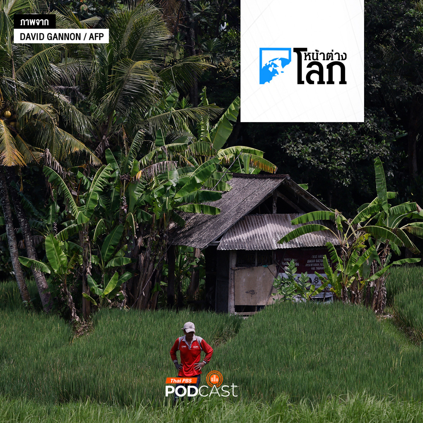 ผู้นำอินโดนีเซียผุดแผนเปลี่ยนหลังคาสังกะสีทั้งประเทศ