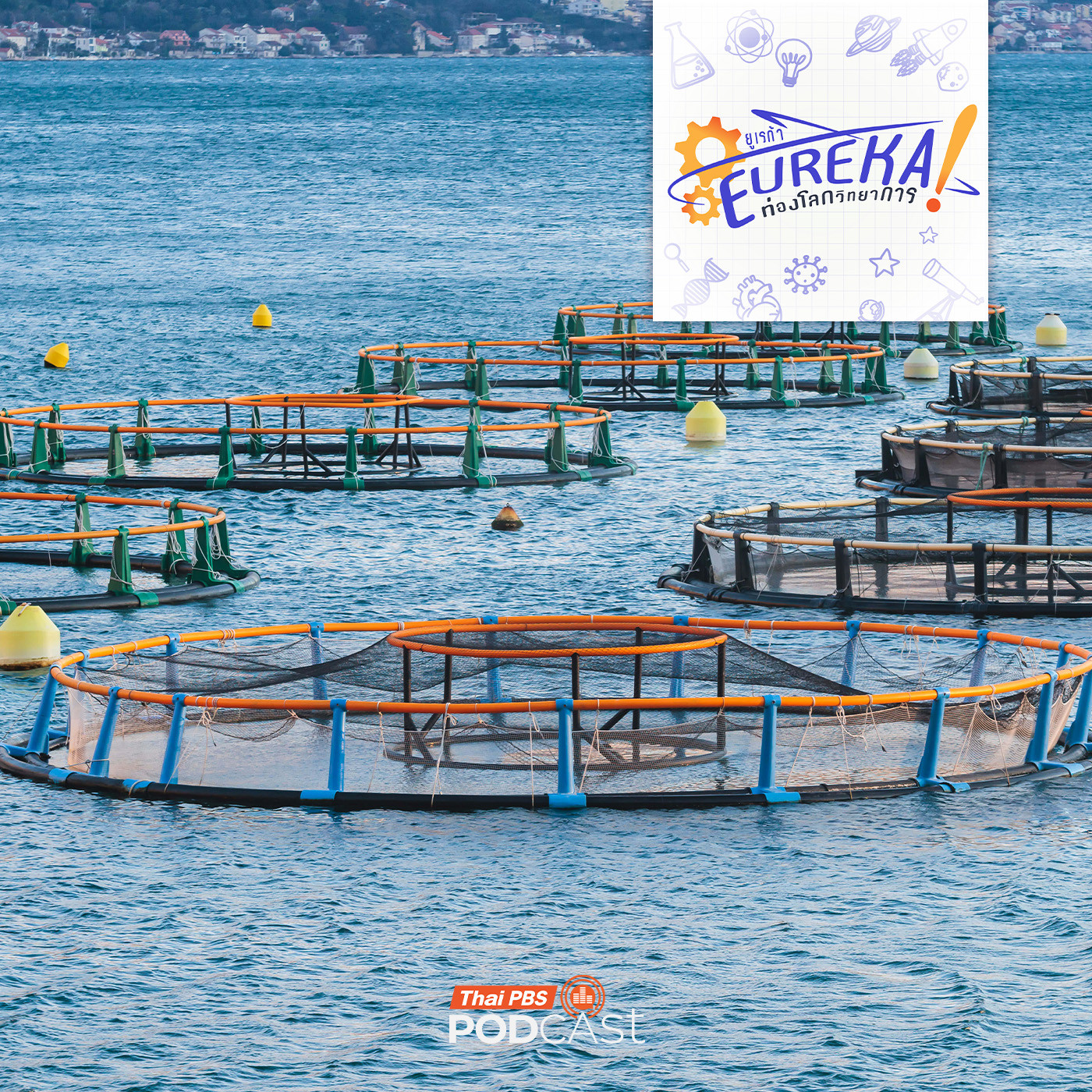 EP. 9: ระบบการเลี้ยงสัตว์น้ำแบบน้ำไหลเวียน