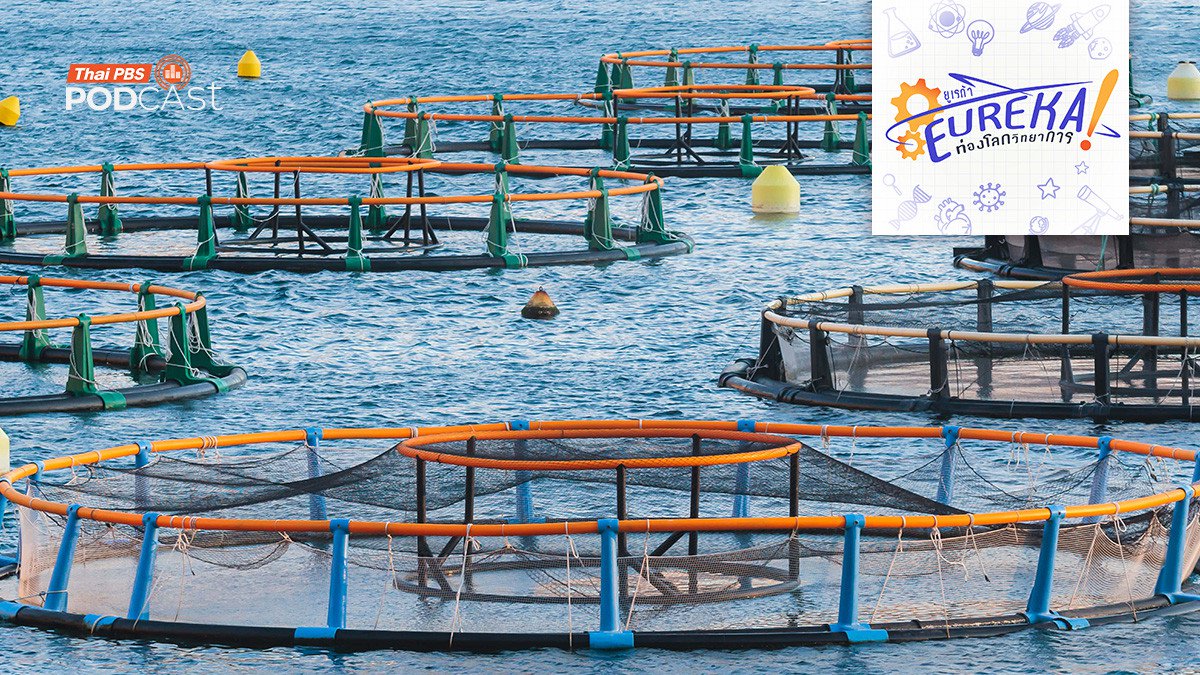 ระบบการเลี้ยงสัตว์น้ำแบบน้ำไหลเวียน