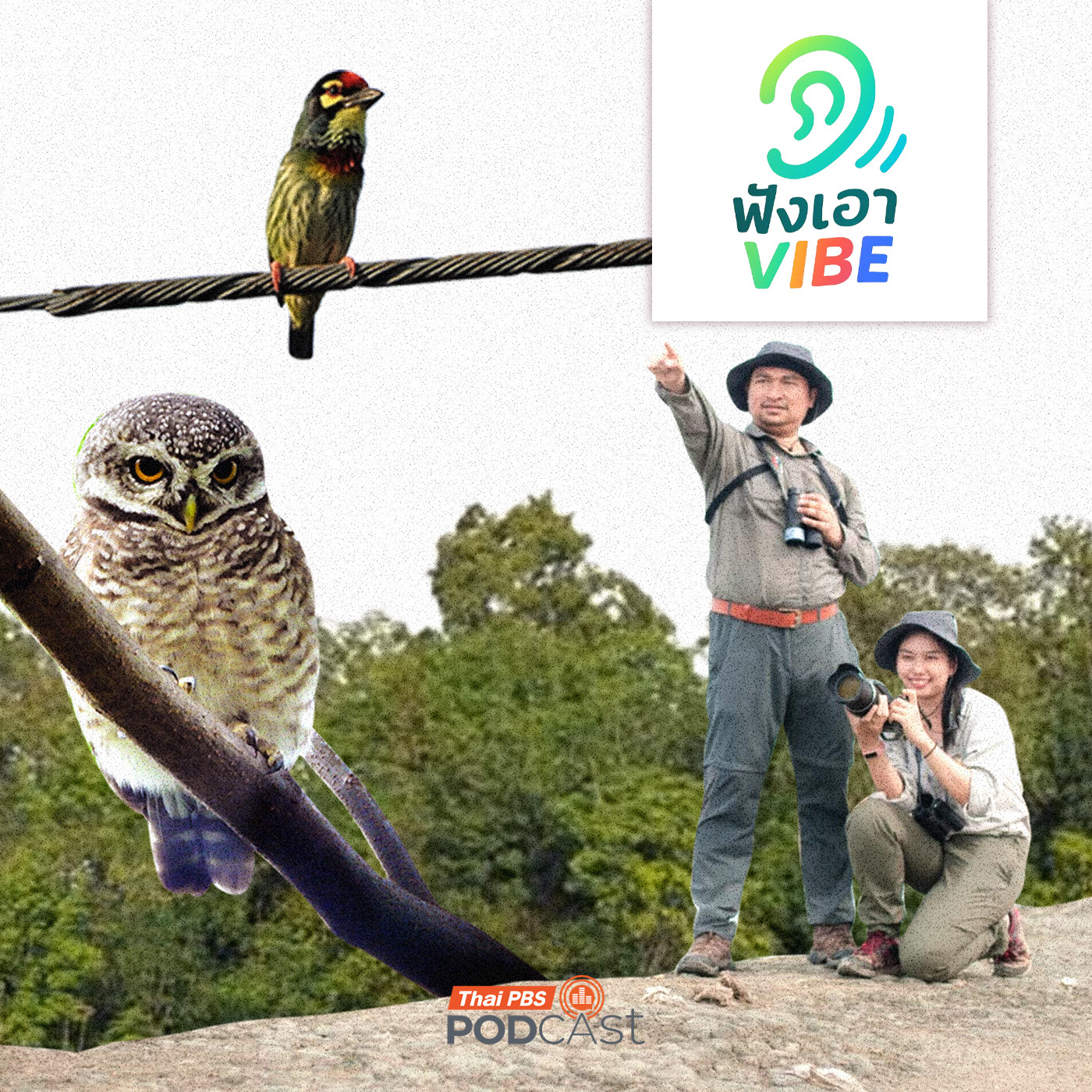 EP. 3: ส่องนก ฟังเมือง