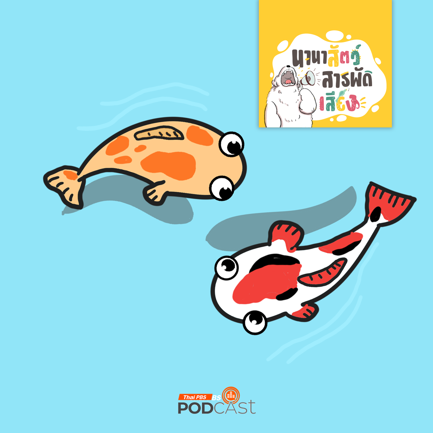 EP. 222: ปลาคาร์ป  ศิลปะที่มีชีวิต