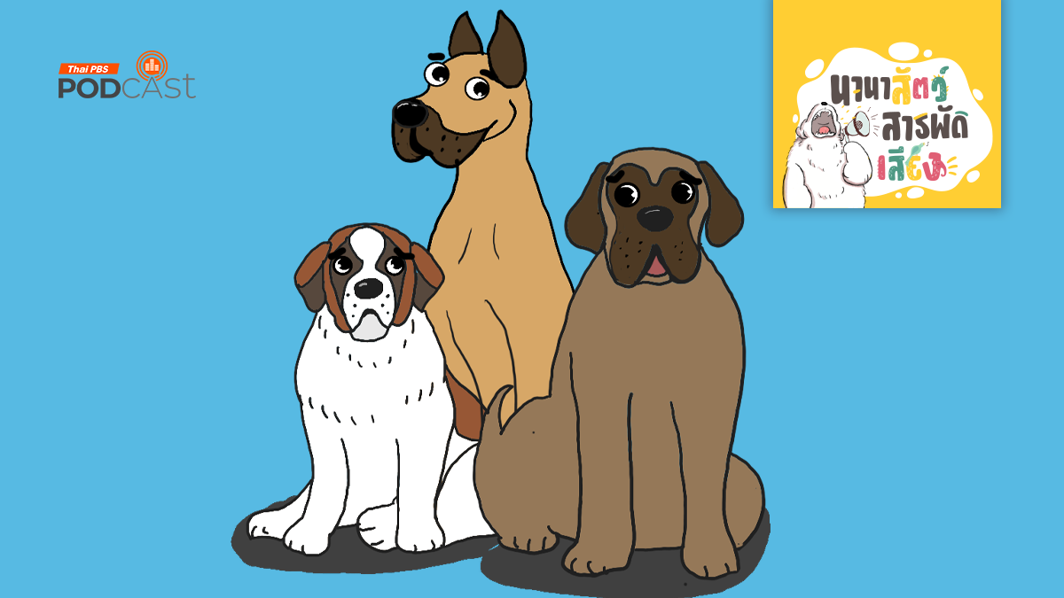 หมายักษ์ ตัวใหญ่ใจดีมีอะไรบ้าง