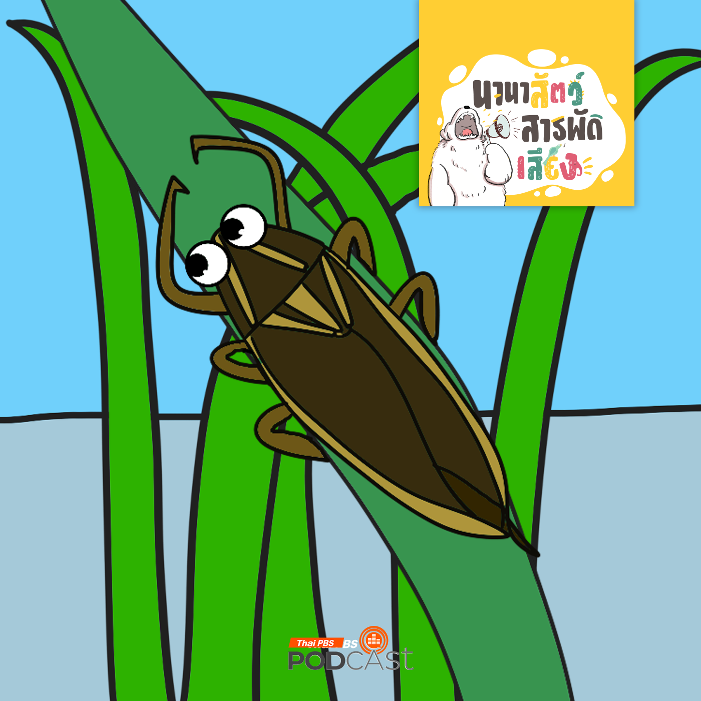 EP. 224: แมลงดานา แมลงกลิ่นหอมในน้ำพริกแมงดา